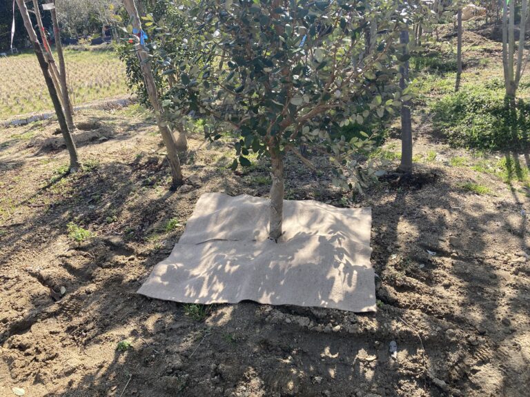 樹出品 楽天市場】【ふるさと納税】スリクソン ZXi フェアウェイウッド